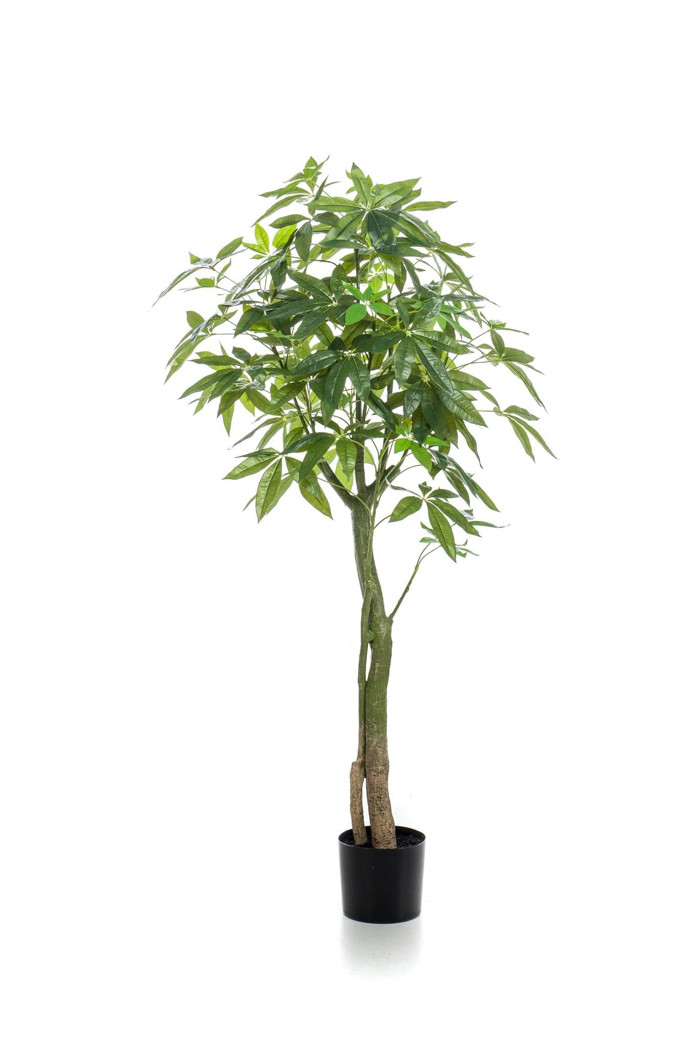 Kunstplant - Pachira Aquatica - Geldboom - 150 cm