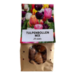 Tulpenbollen 20 stuks