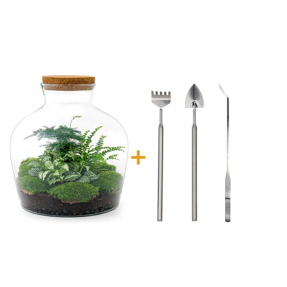 DIY terrarium - Fat Joe Groen - ↑ 30 cm + Rake + Shovel + Tweezer