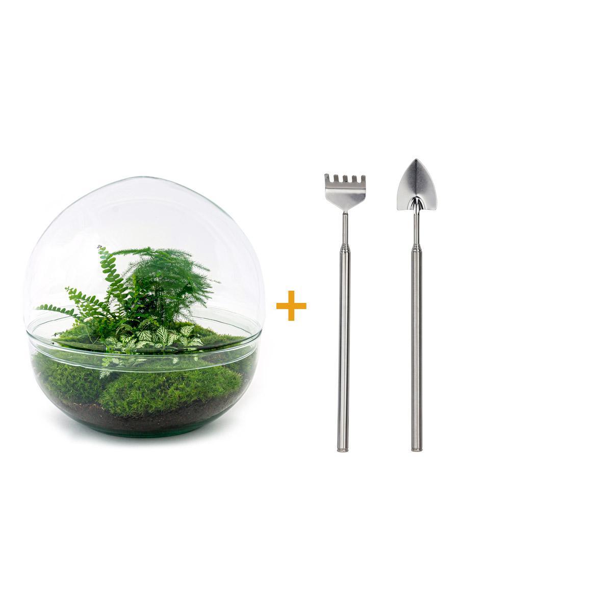 DIY terrarium - Dome XL - ↑ 30 cm + Rake + Shovel