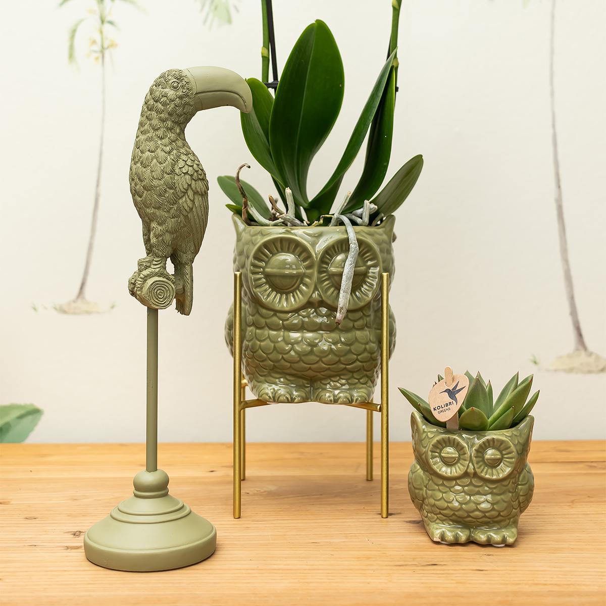 Kolibri Home | Ornament - Decoratie beeld Toucan groen