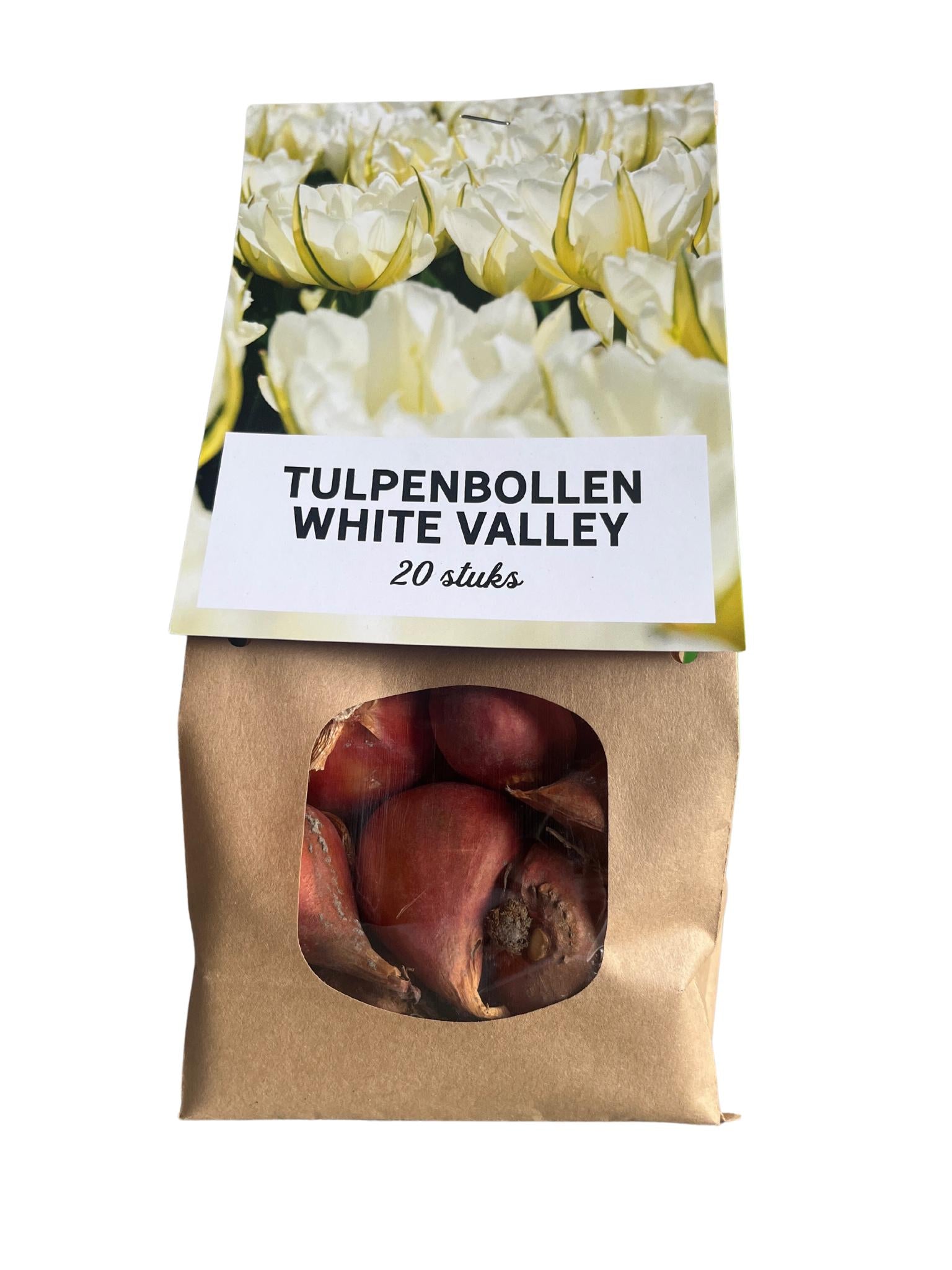 Tulpenbollen 20 stuks