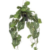 Kunstplant - Anthurium Clarinervium - Aderplant - 80 cm