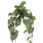 Kunstplant - Anthurium Clarinervium - Aderplant - 80 cm