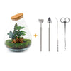 DIY terrarium - Drop XL Rood  + Rake + Shovel + Tweezer + Scissors ↑ 37 cm