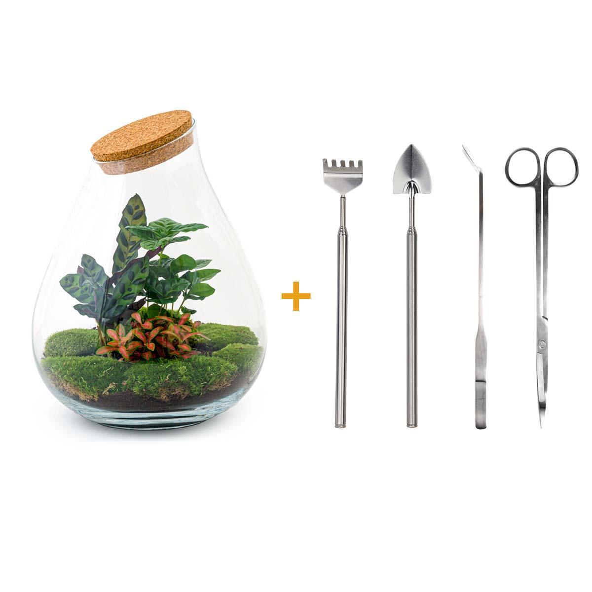 DIY terrarium - Drop XL Rood  + Rake + Shovel + Tweezer + Scissors ↑ 37 cm