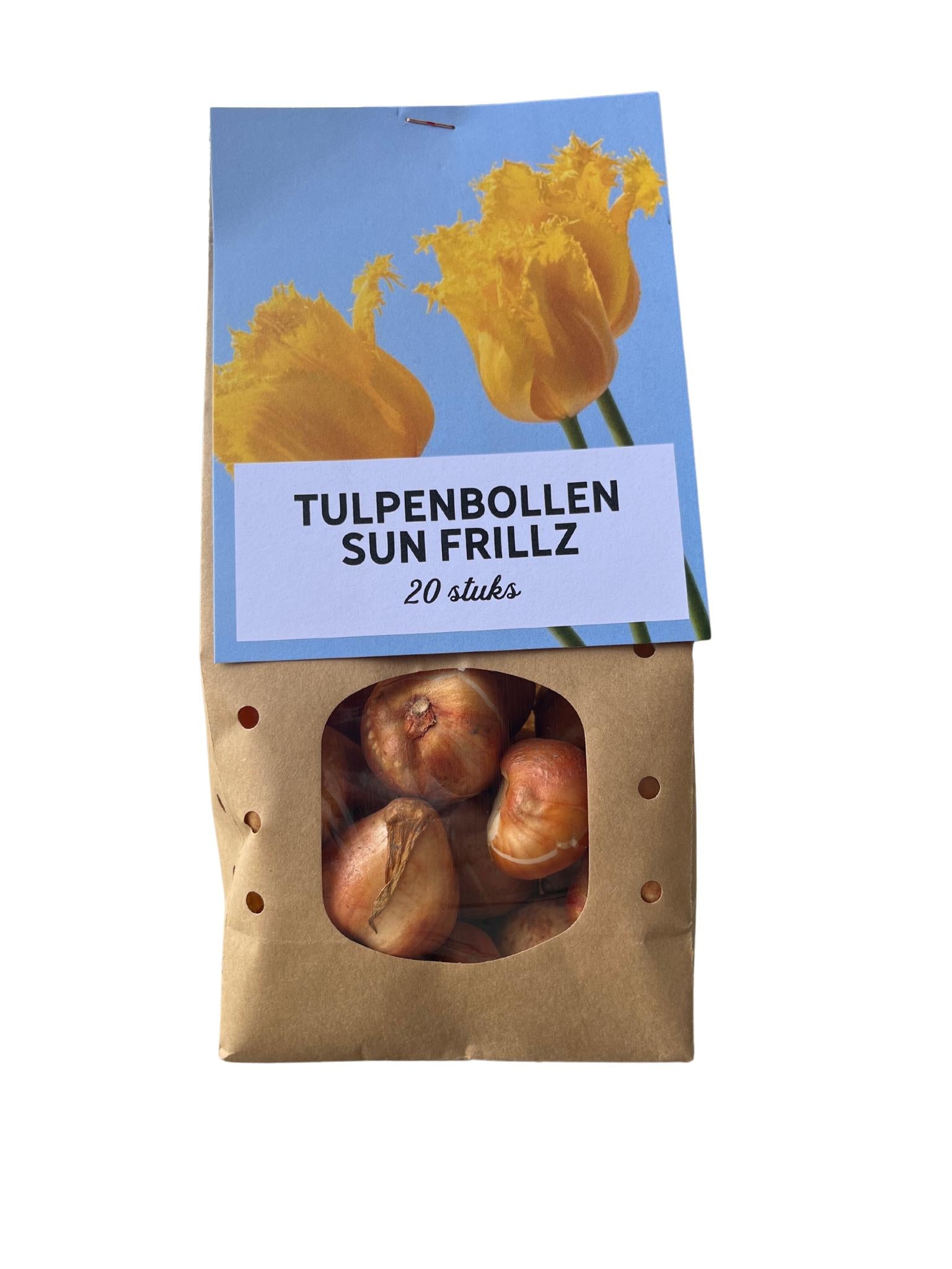 Tulpenbollen 20 stuks