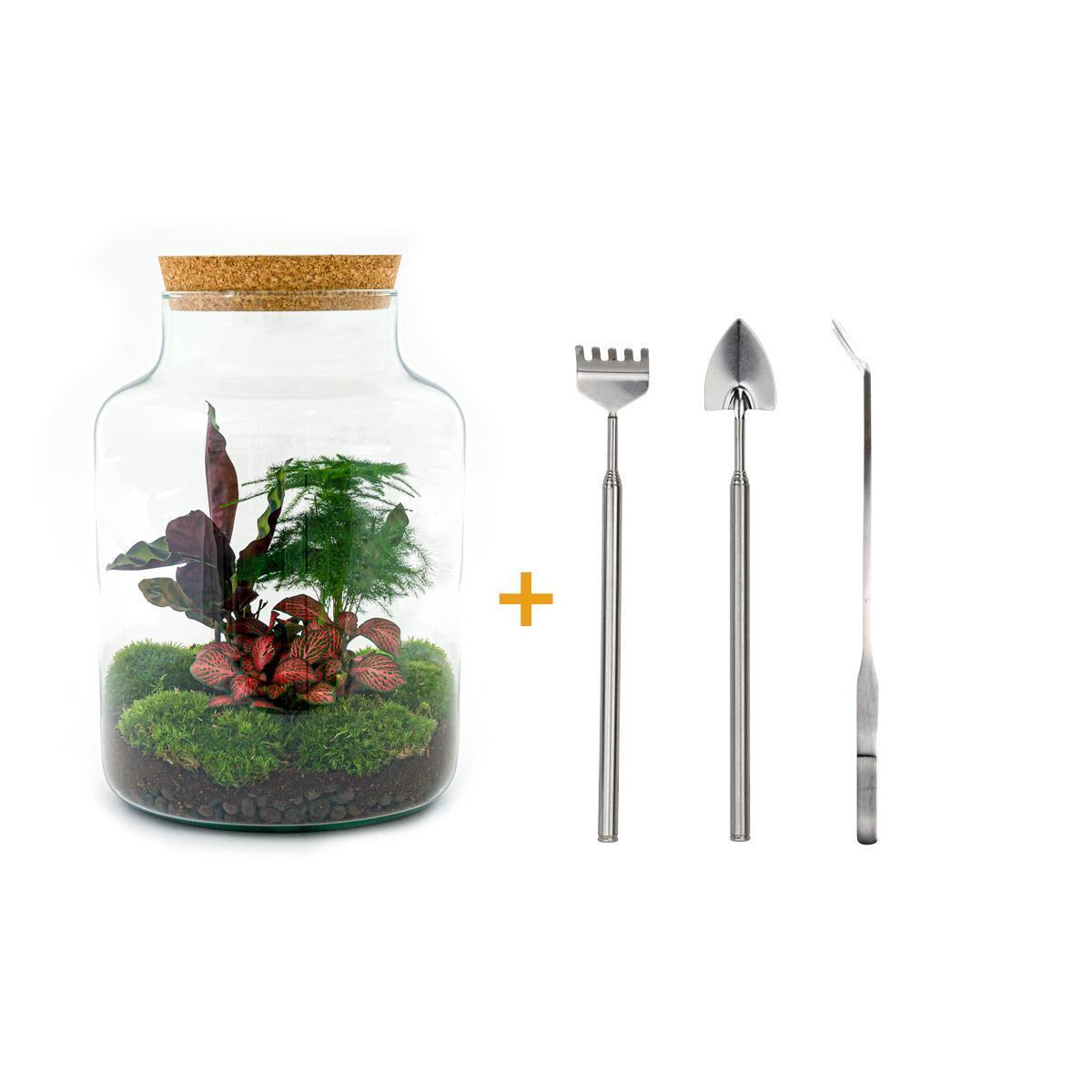 DIY terrarium - Milky - ↑ 30 cm