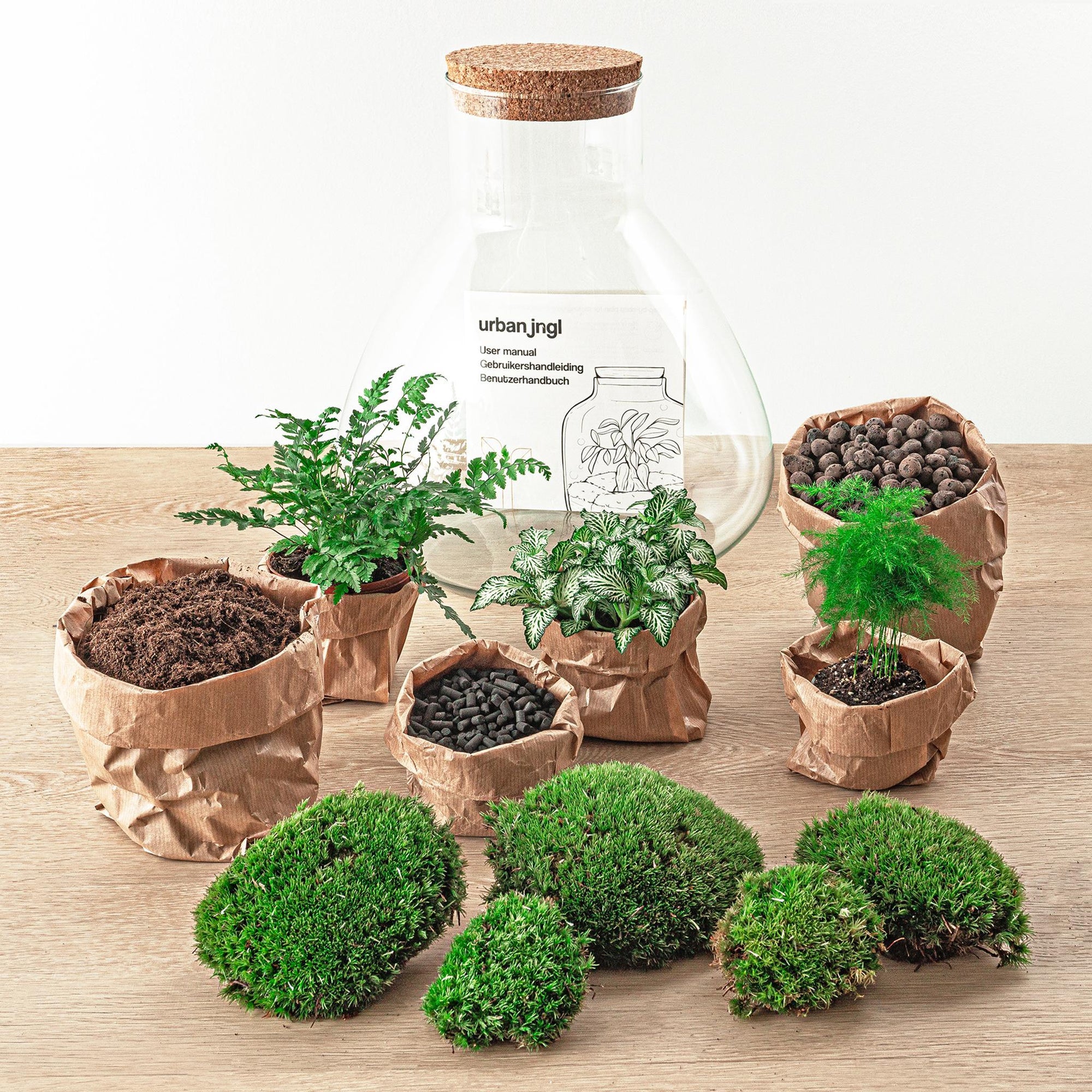 DIY terrarium - Sam XL - ↑ 35 cm