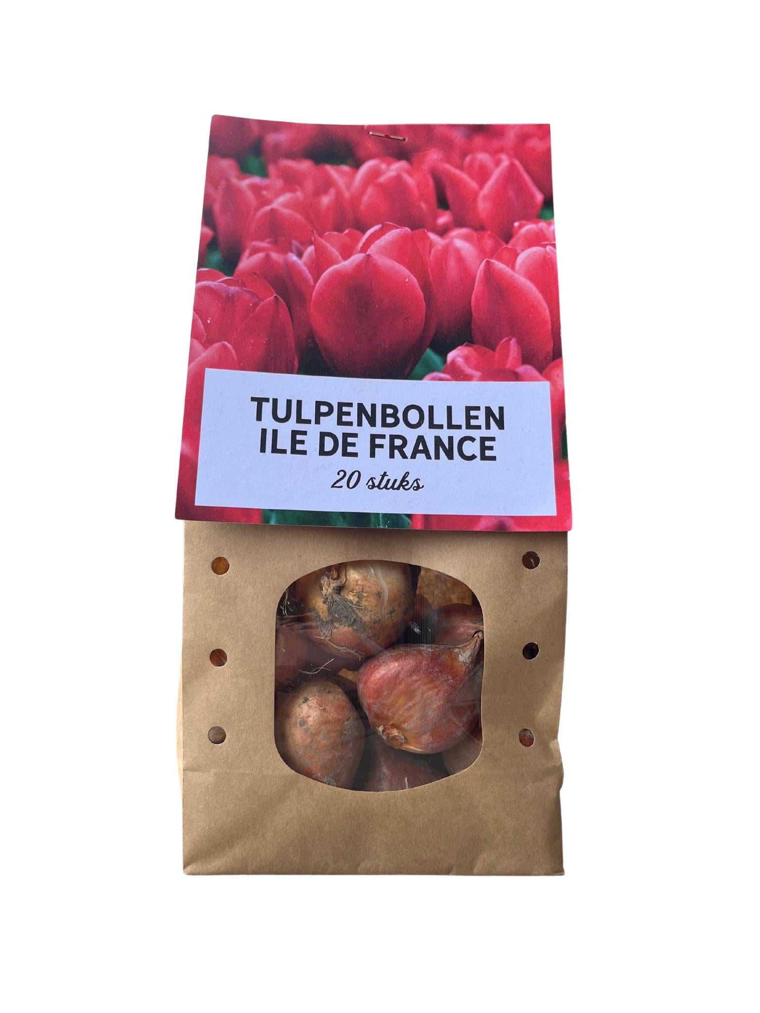 Tulpenbollen 20 stuks