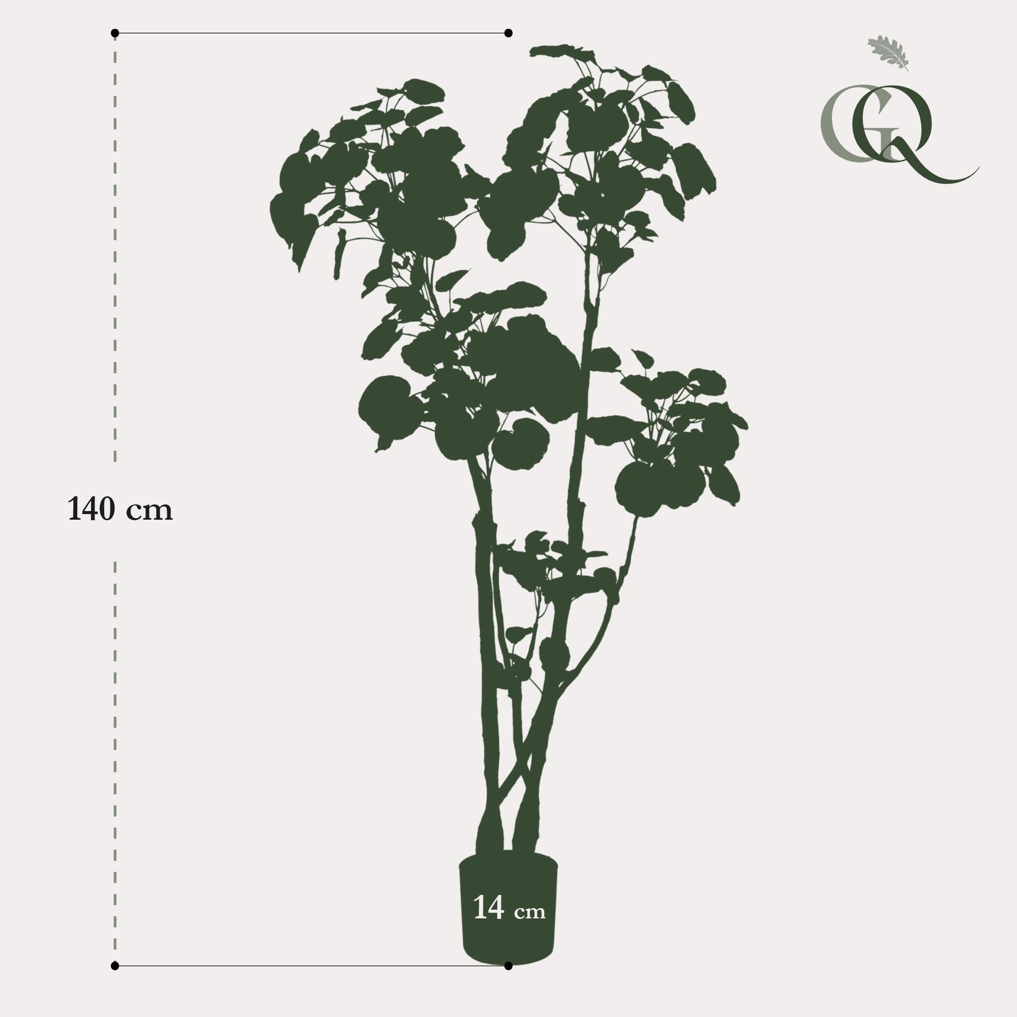 Kunstplant - Polyscias - Aralia - 140 cm