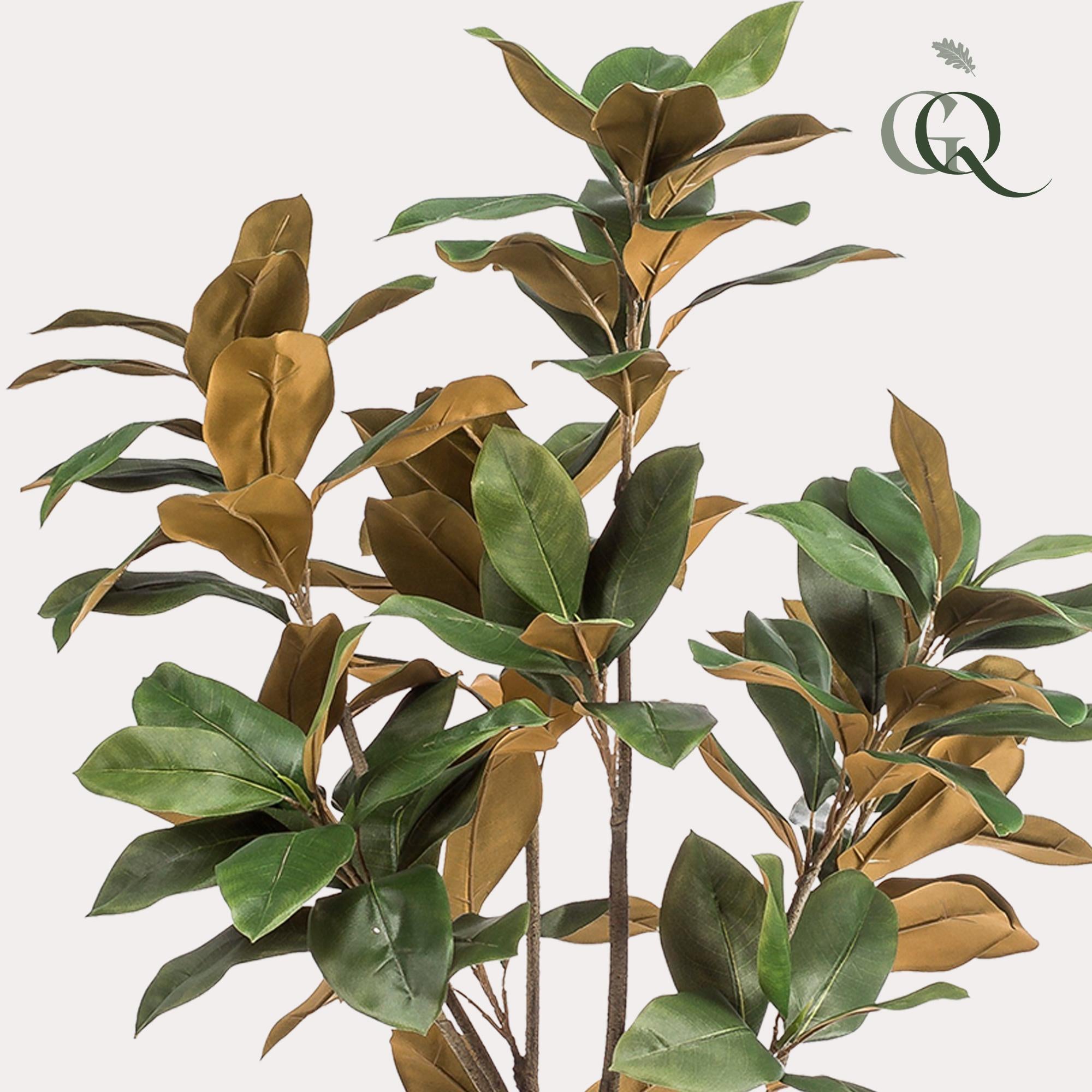 Kunstplant - Magnolia Grandiflora - Abelia - 150 cm