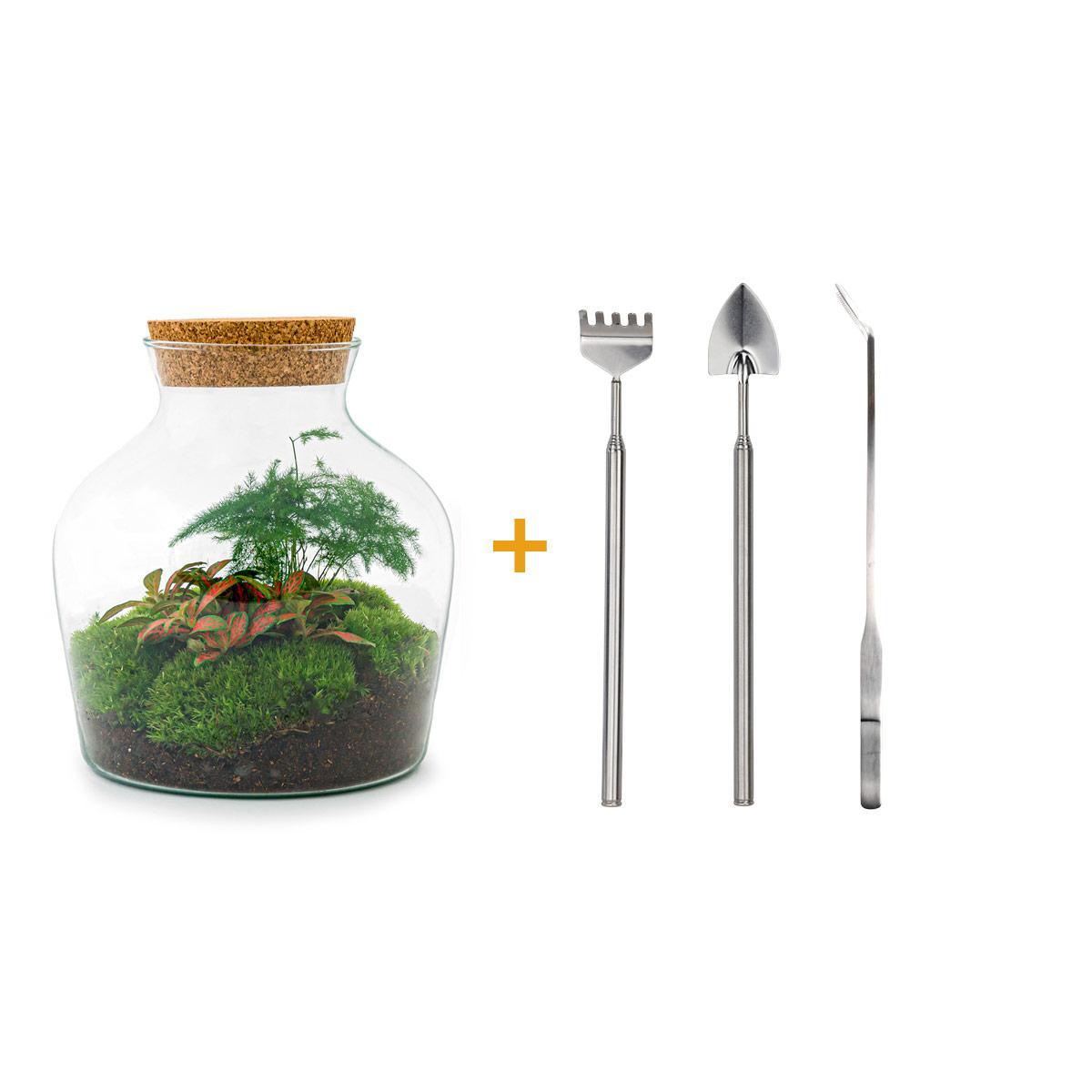 DIY terrarium - Little Joe - ↑ 21,5 cm