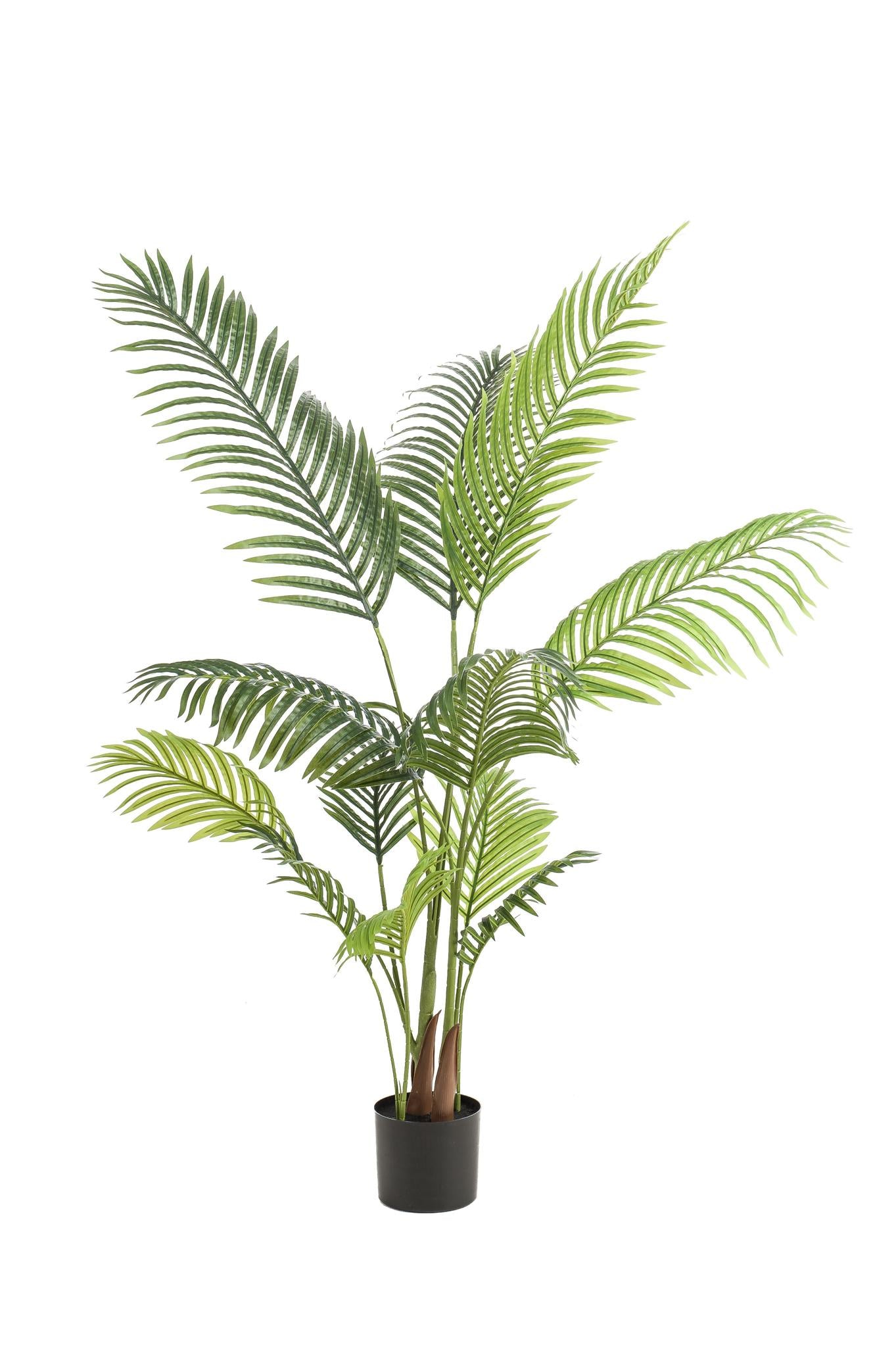 Kunstplant - Howea Forsteriana - Paradijspalm - 140 cm