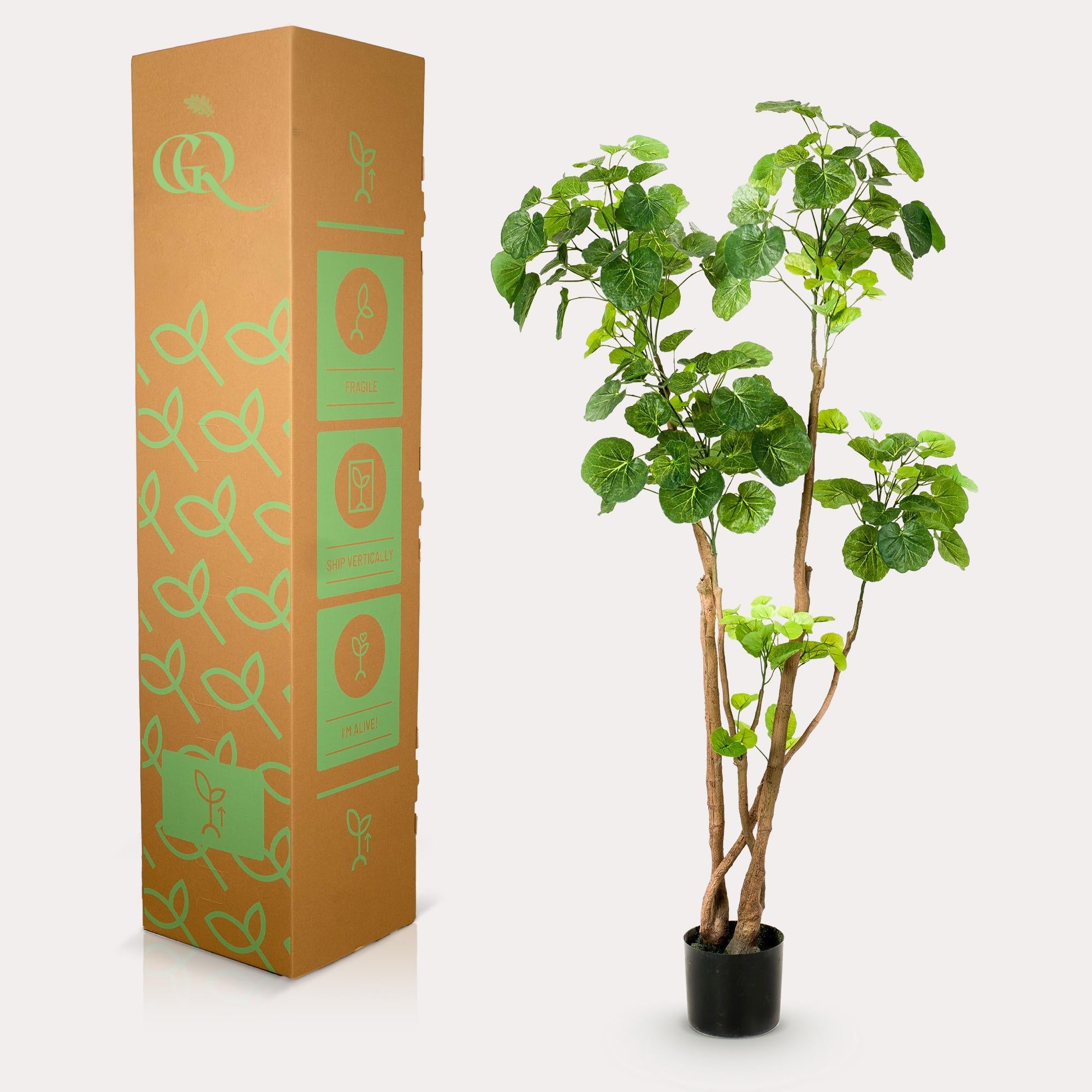 Kunstplant - Polyscias - Aralia - 140 cm