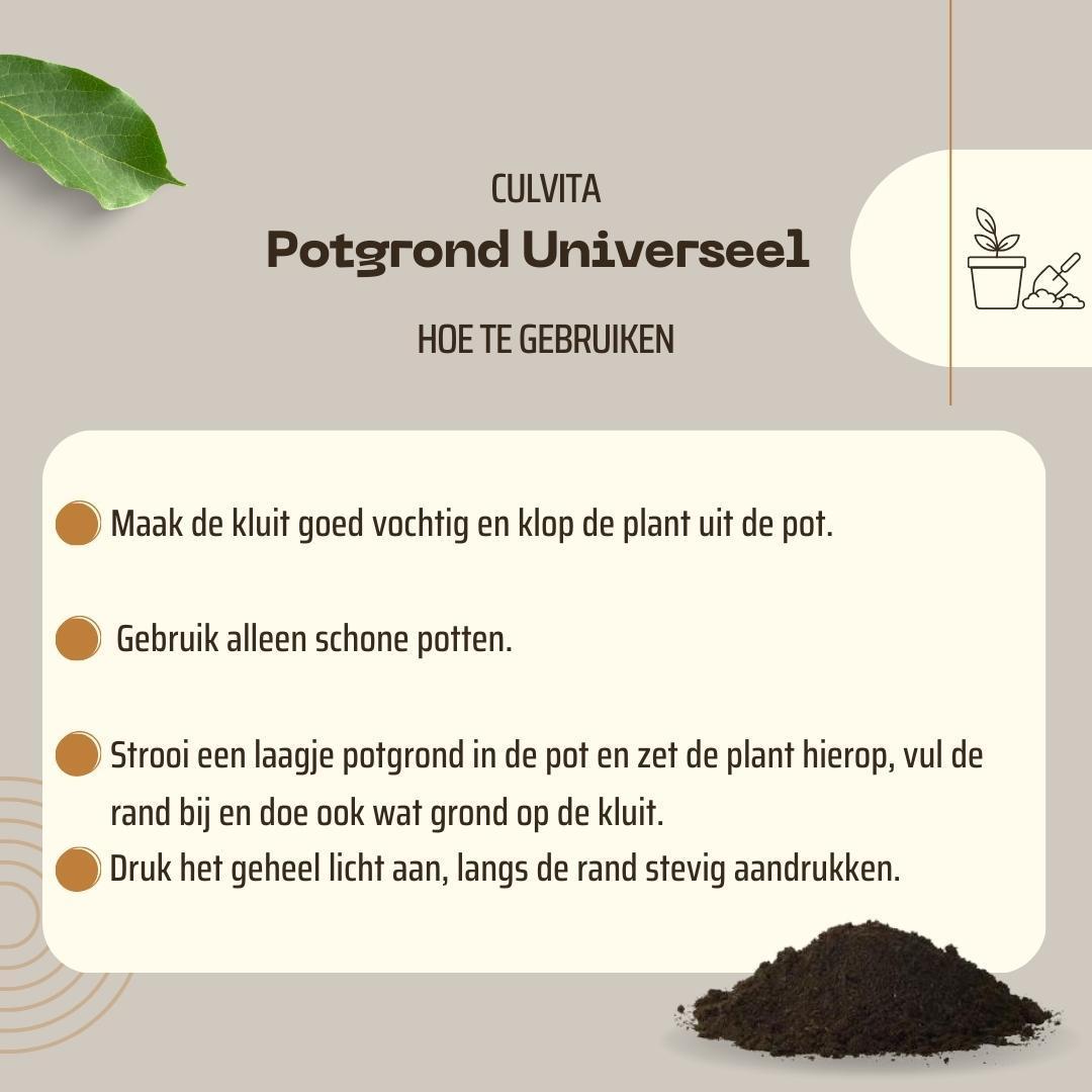 Culvita Universele Potgrond 40 l inclusief 2 maanden plantenvoeding - Universele potgrond voor kamerplanten en buitenplanten - potgrond universeel 40 liter