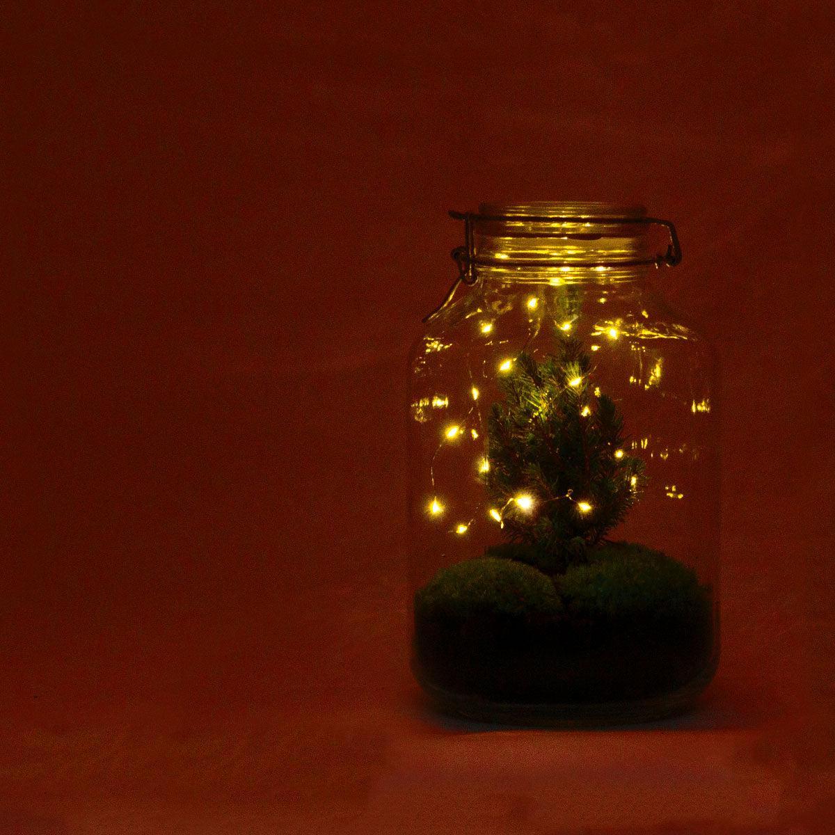 DIY terrarium - Jar Christma - ↑ 28 cm