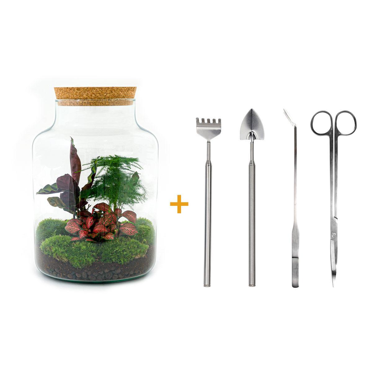 DIY terrarium - Milky - ↑ 30 cm