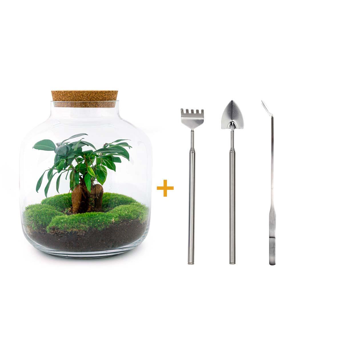 DIY terrarium - Billie - ↑ 29 cm + Rake + Shovel + Tweezer