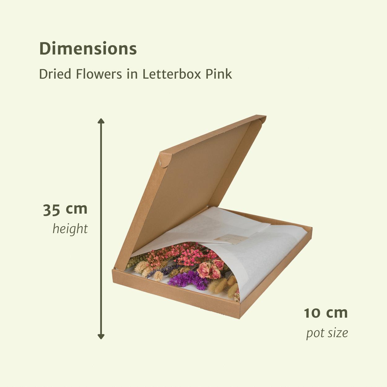 Droogbloemen in Letterbox Pink - Droogboeket - 35cm - Ø10