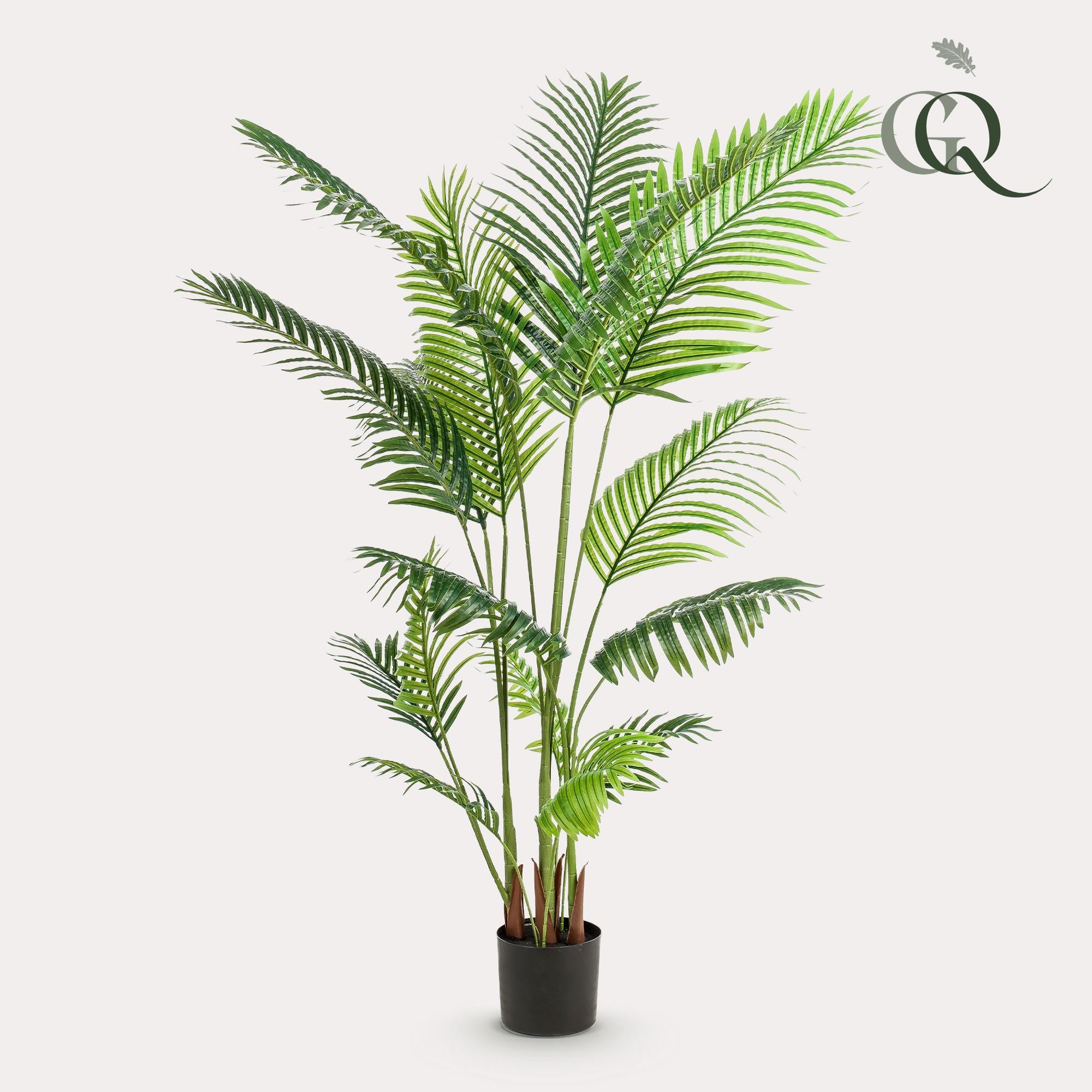 Kunstplant - Howea Forsteriana - Paradijspalm - 160 cm