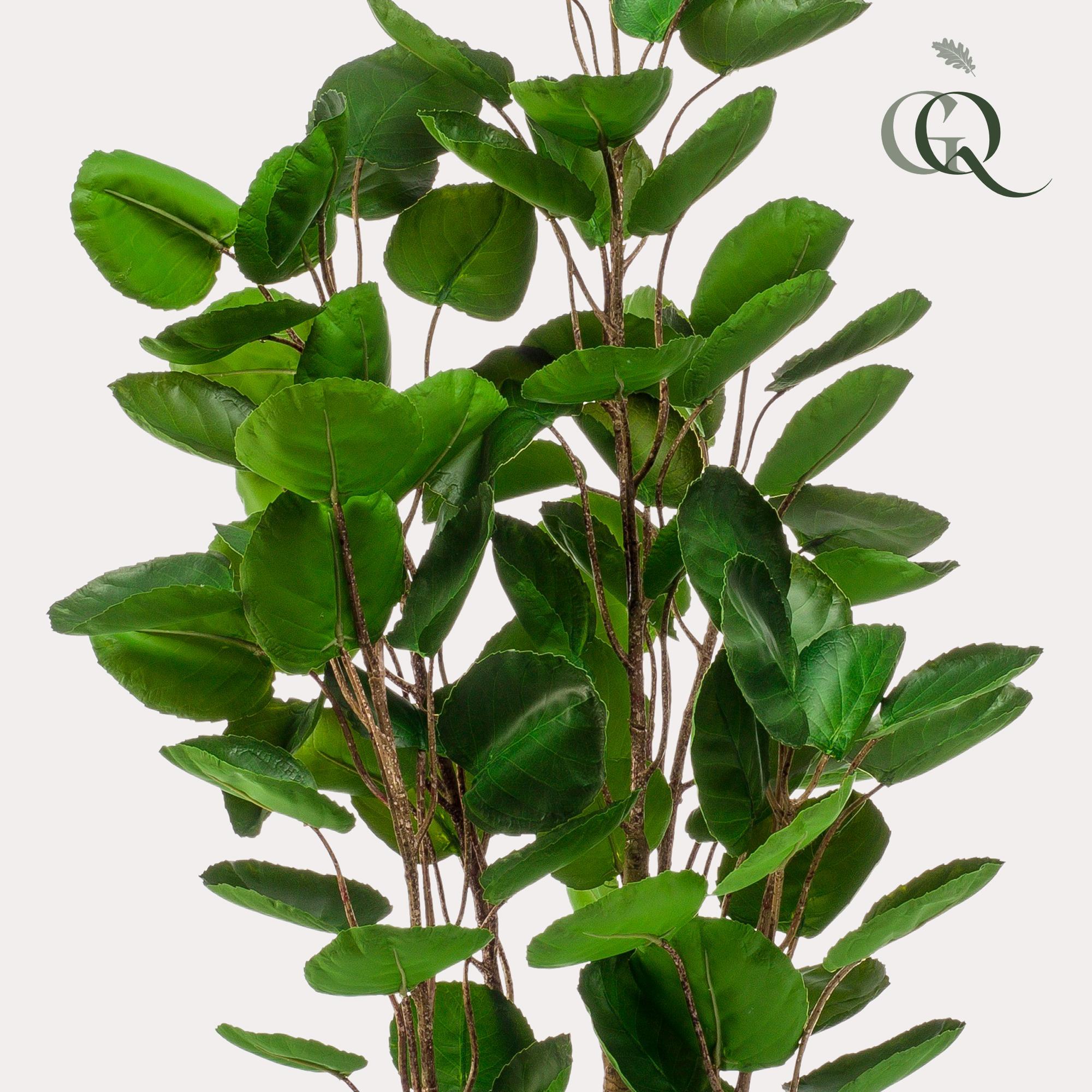 Kunstplant - Polyscias - Aralia - 105 cm