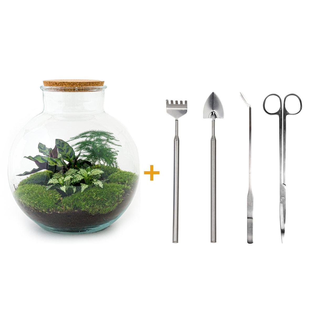 DIY terrarium - Bolder Bob - ↑ 30 cm + Rake + Shovel + Tweezer + Scissors
