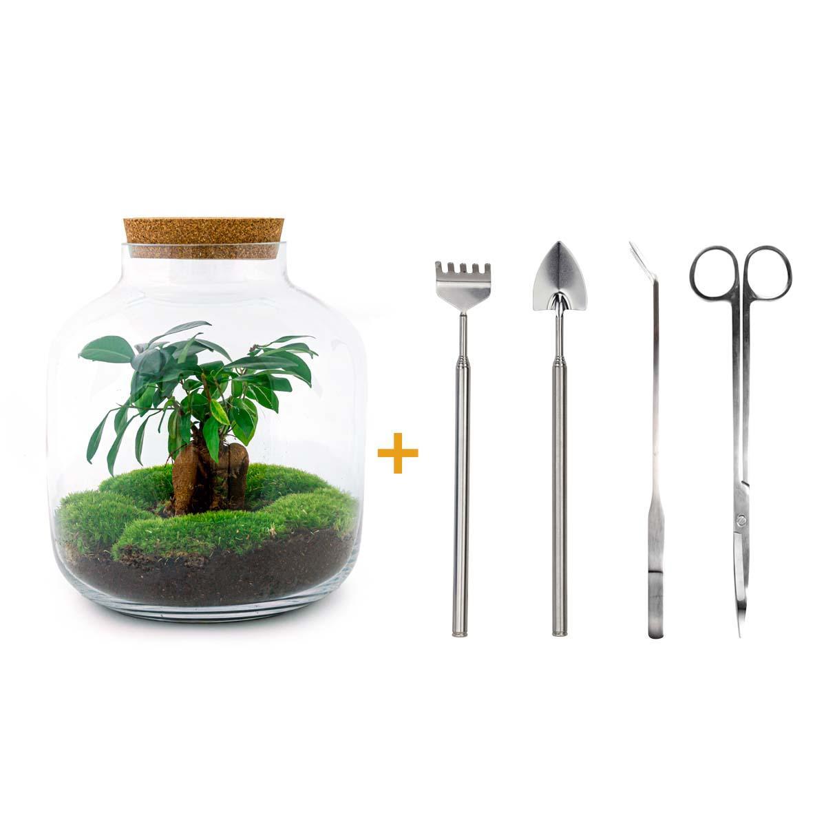DIY terrarium - Billie - ↑ 29 cm + Rake + Shovel + Tweezer + Scissors