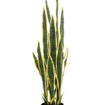 Kunstplant - Sanseveria Trifasciata - Vrouwentong - 97 cm