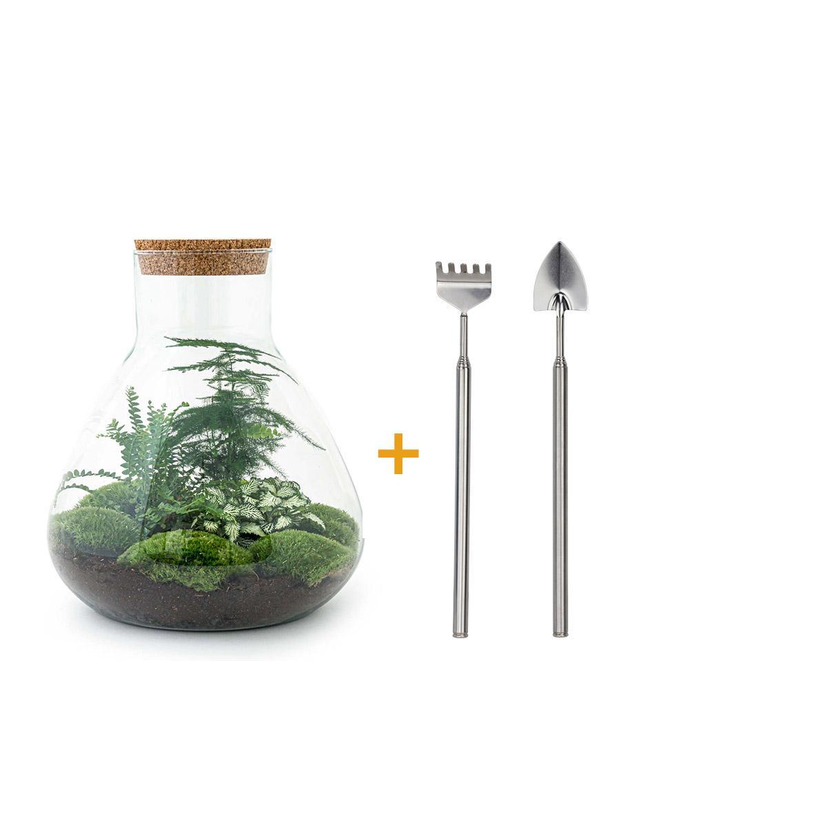 DIY terrarium - Sam XL - ↑ 35 cm + Rake + Shovel