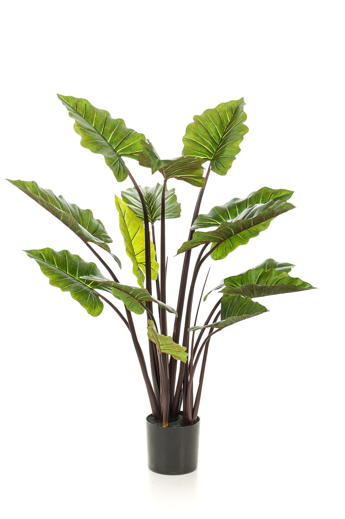 Kunstplant - Colocasia Pink China - Olifantsoor - 130 cm