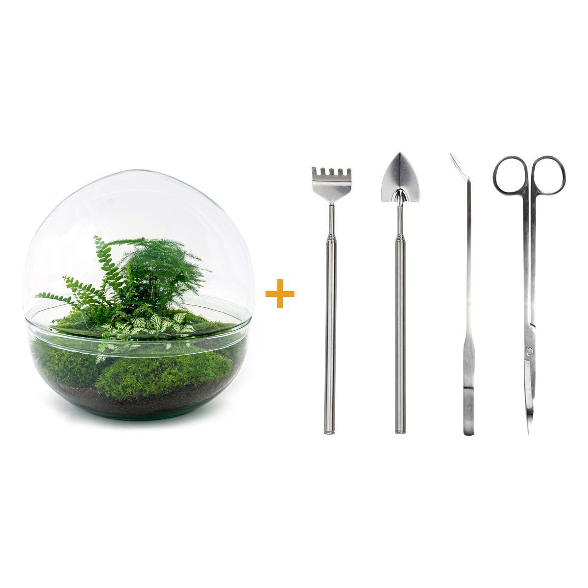 DIY terrarium - Dome XL - ↑ 30 cm + Rake + Shovel + Tweezer + Scissors