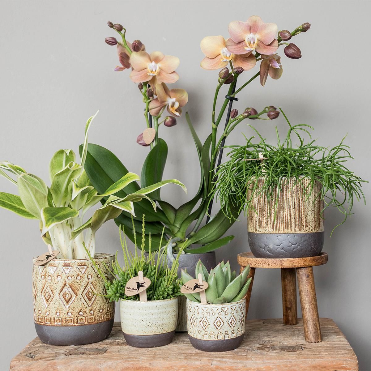 Kolibri Home | Plantenstandaard - Houten planten verhoging Ø12cm