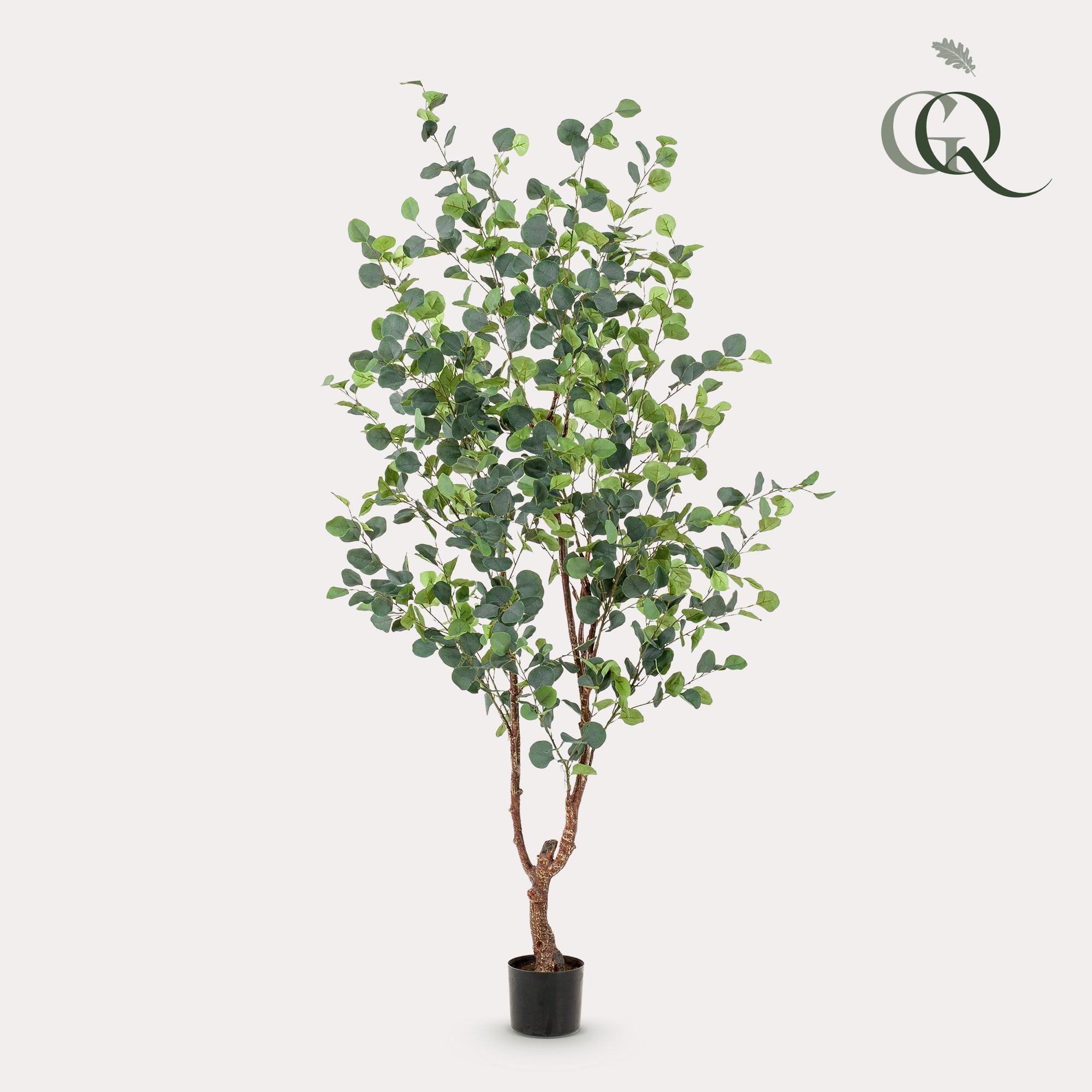 Kunstplant - Eucalyptus - Blauwe Gomboom - 180 cm