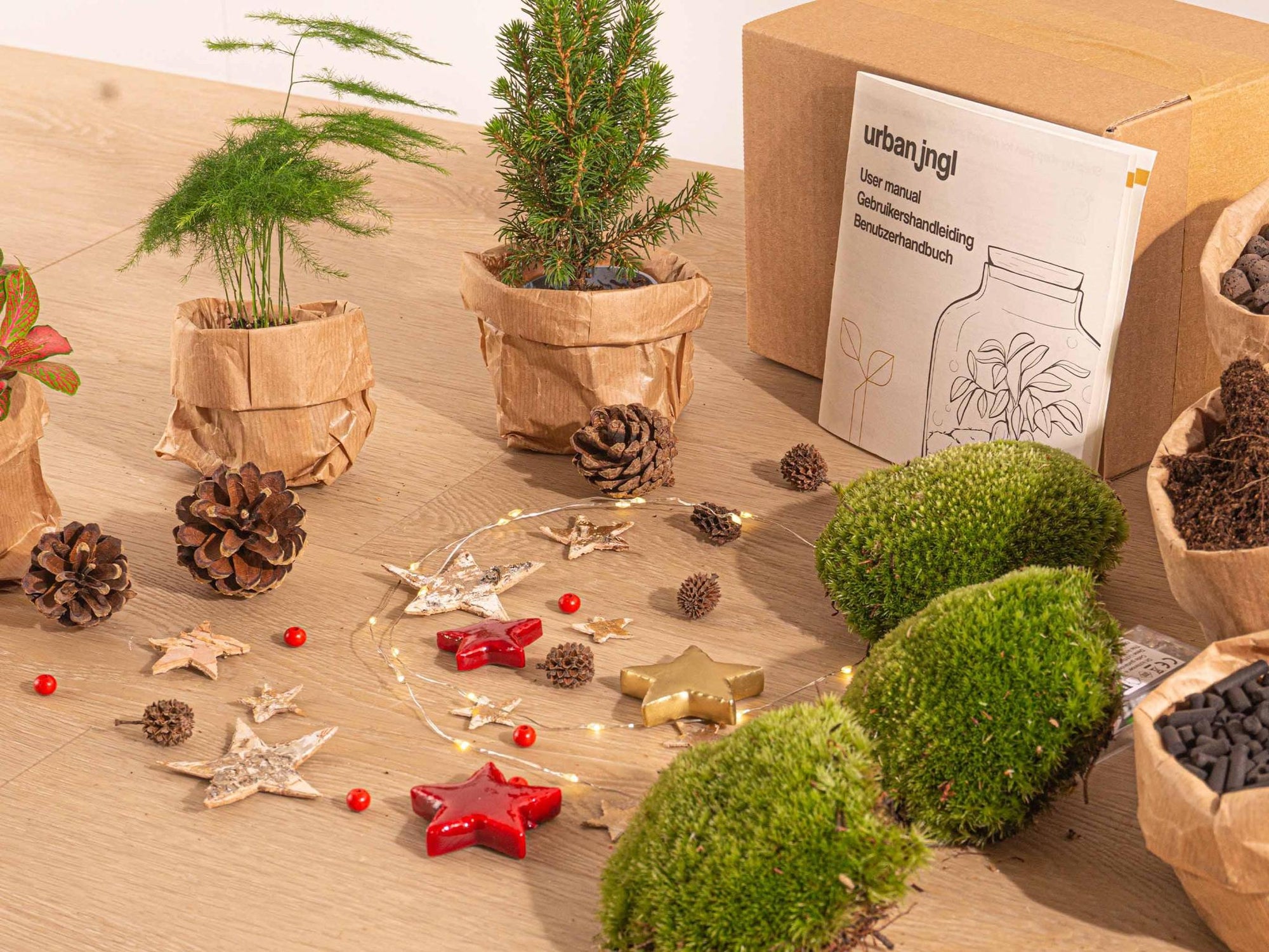 Kerst - Planten terrarium pakket - Mini-kerstboom - 3 planten -  Navulling & Startpakket- DIY