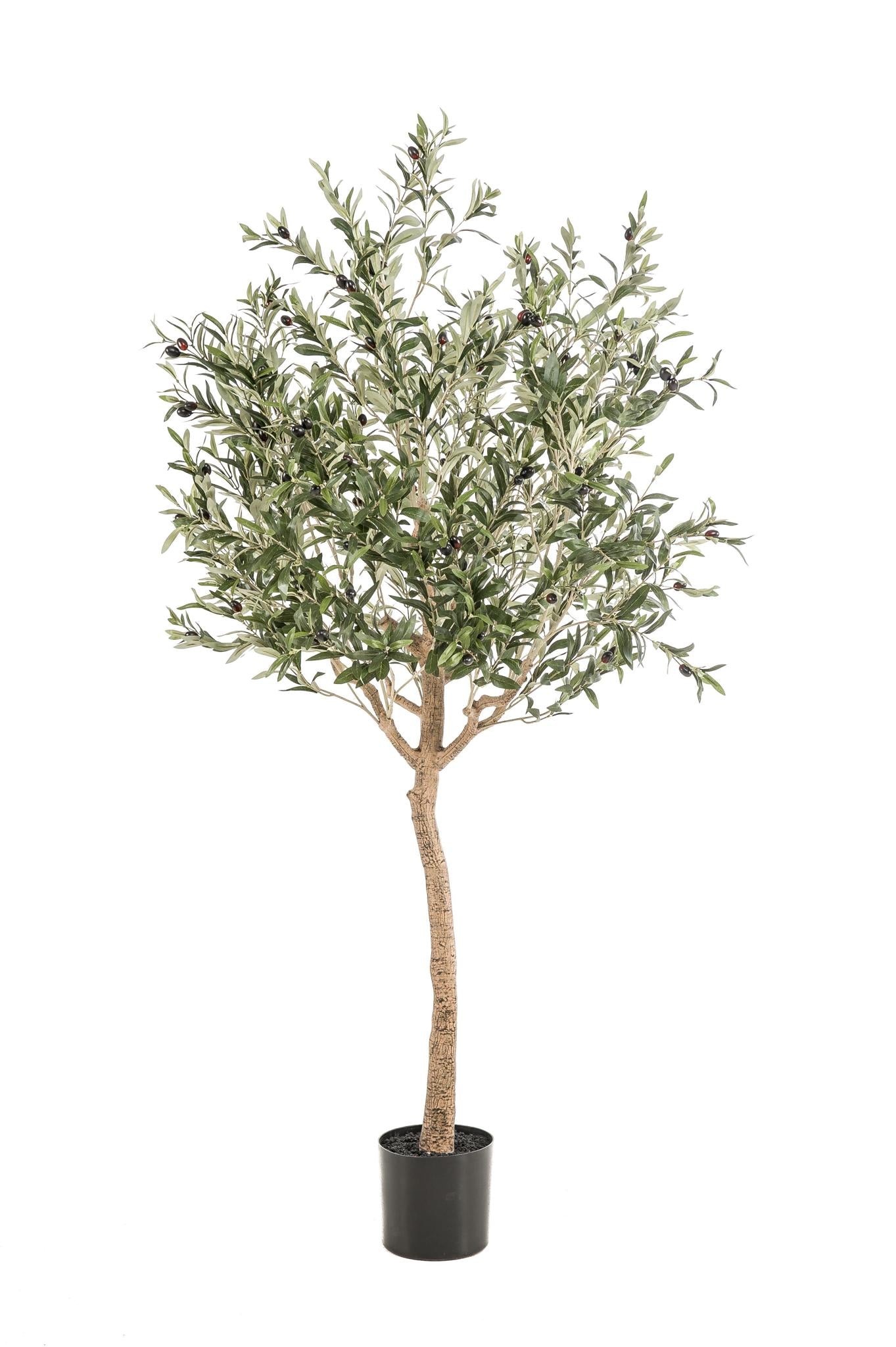 Kunst Olijfboom - Olea Europaea - Olijfboom - 180 cm