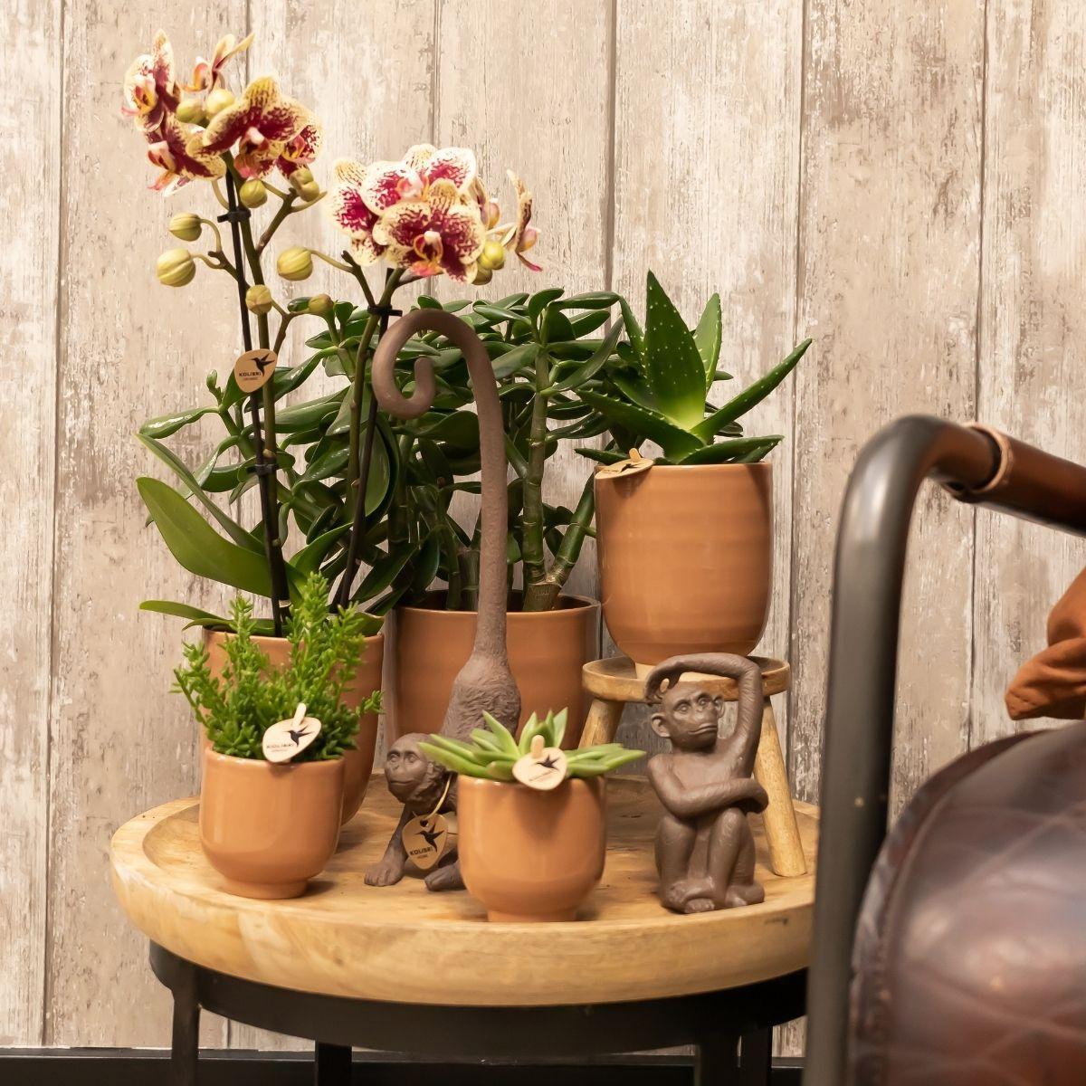 Kolibri Home | Glazed bloempot - Cognac keramieken sierpot met glans - Ø9cm