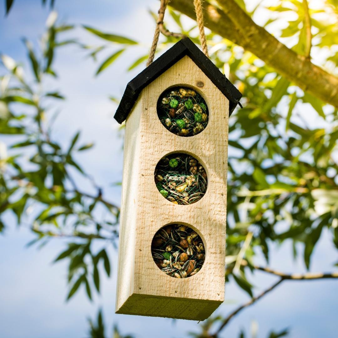 Bird-Buffet | Chalet feeder vogelhuisje voor Mussen