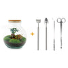 DIY terrarium - Teddy bonsai - ↑ 26,5 cm