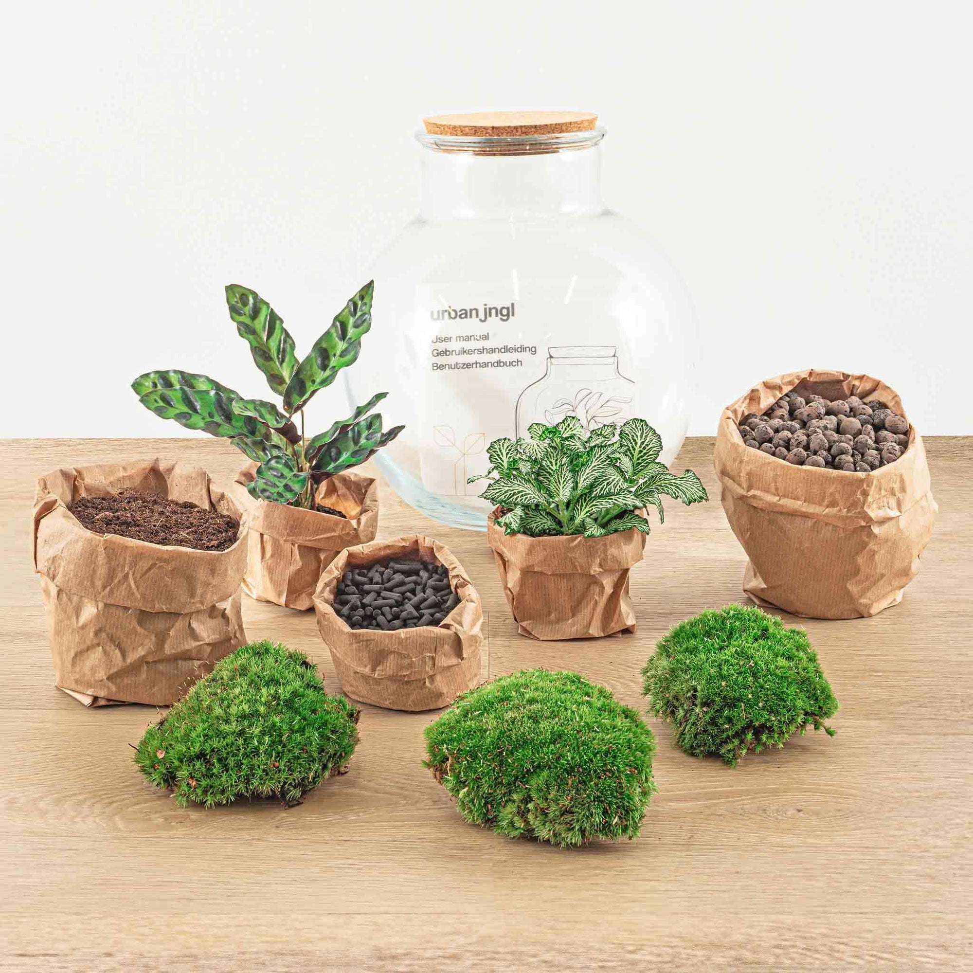 DIY terrarium - Teddy - ↑ 26,5 cm