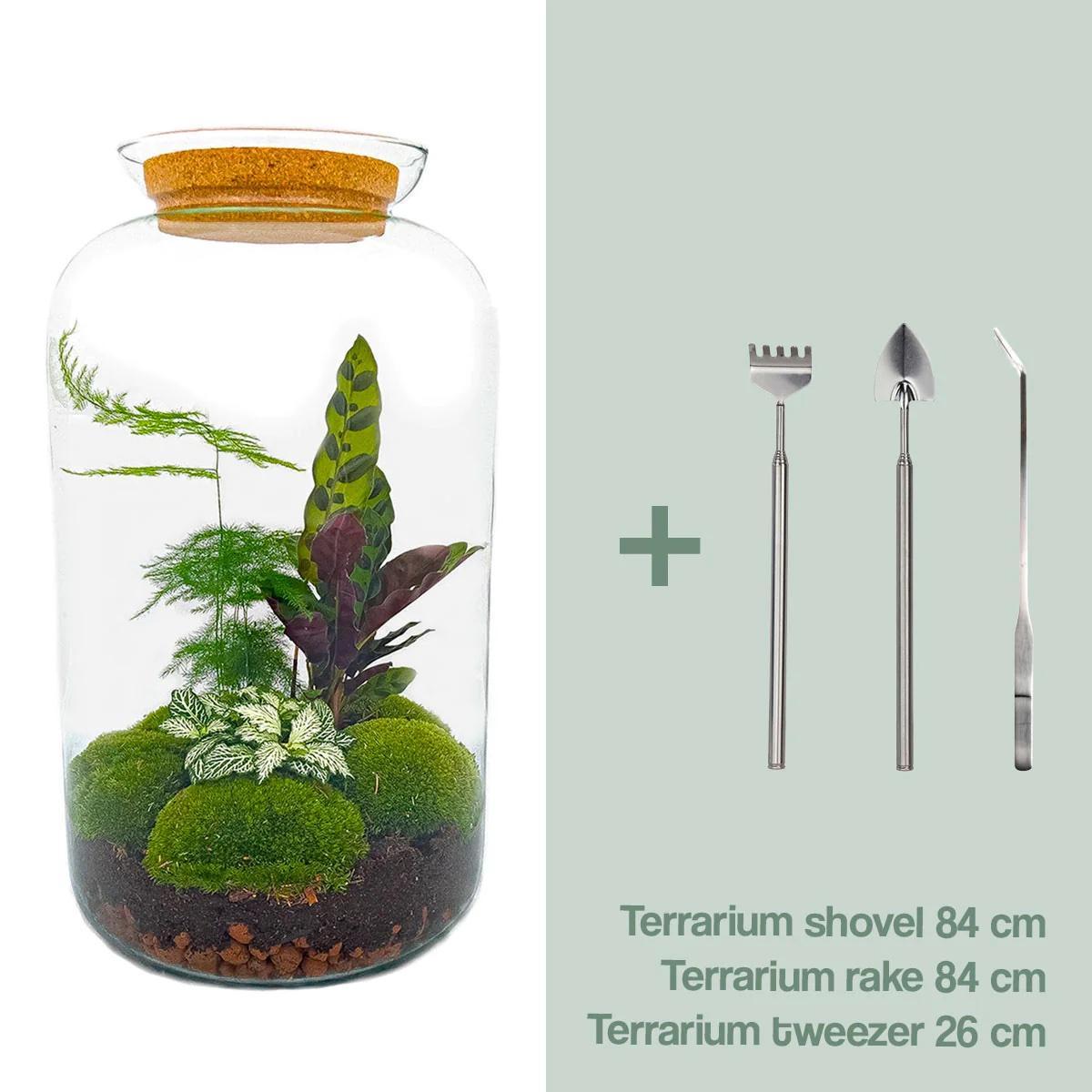 DIY terrarium - Botanical Sven XL - ↑ 43 cm  + Rake + Shovel + Tweezer