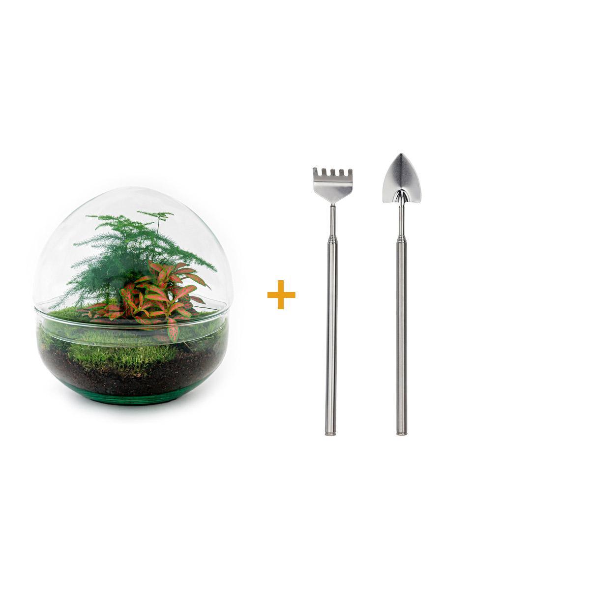 DIY terrarium - Dome Red - ↑ 20 cm  + Rake + Shovel