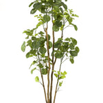 Kunstplant - Polyscias - Aralia - 160 cm