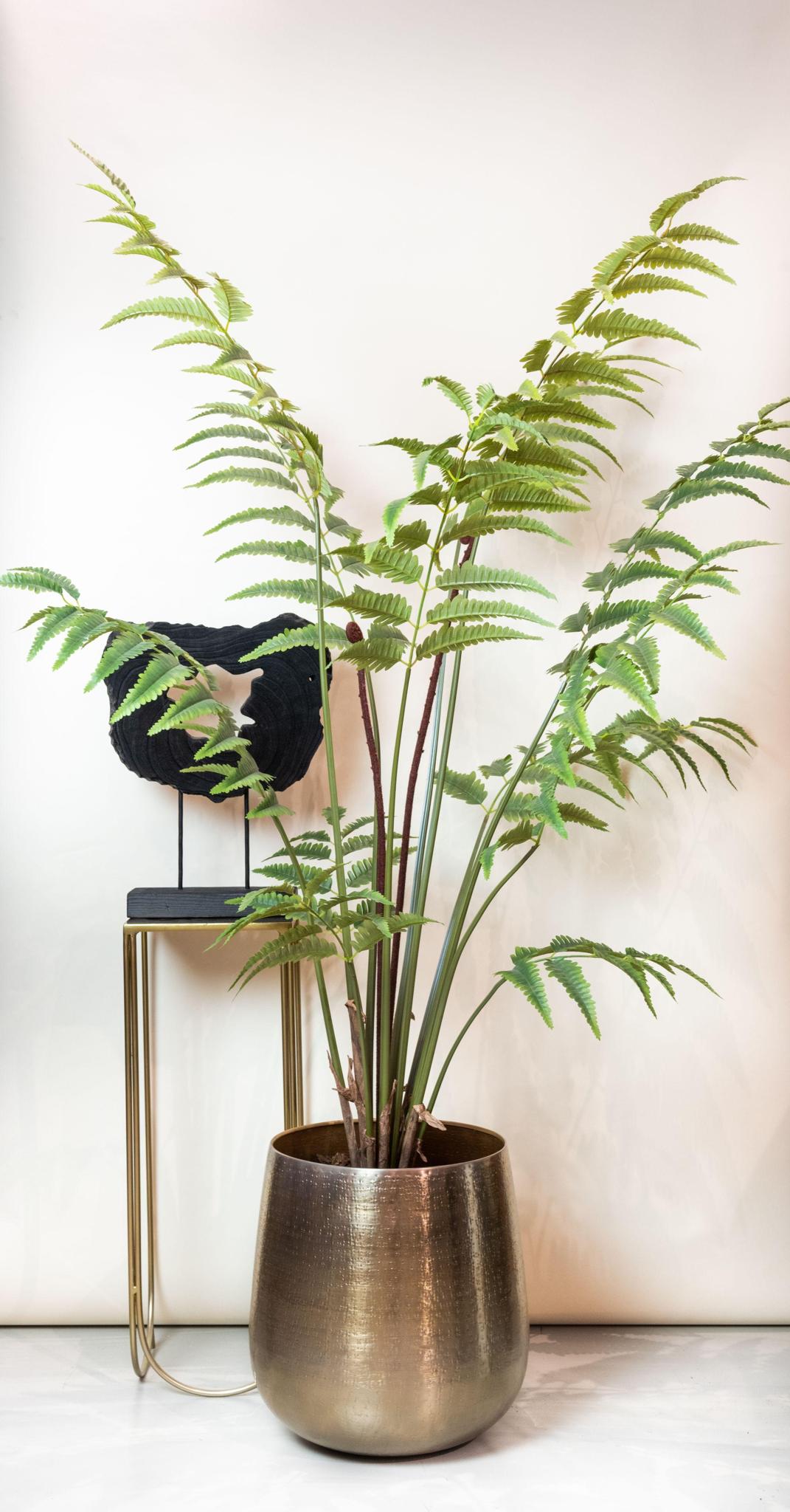 Kunstplant - Rumohra Adiantiformis - Ledervaren - 150 cm