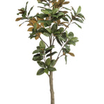 Kunstplant - Magnolia Grandiflora - Abelia - 180 cm
