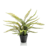 Kunstplant - Nephrolepis Exaltata - Bostonvaren - 55 cm