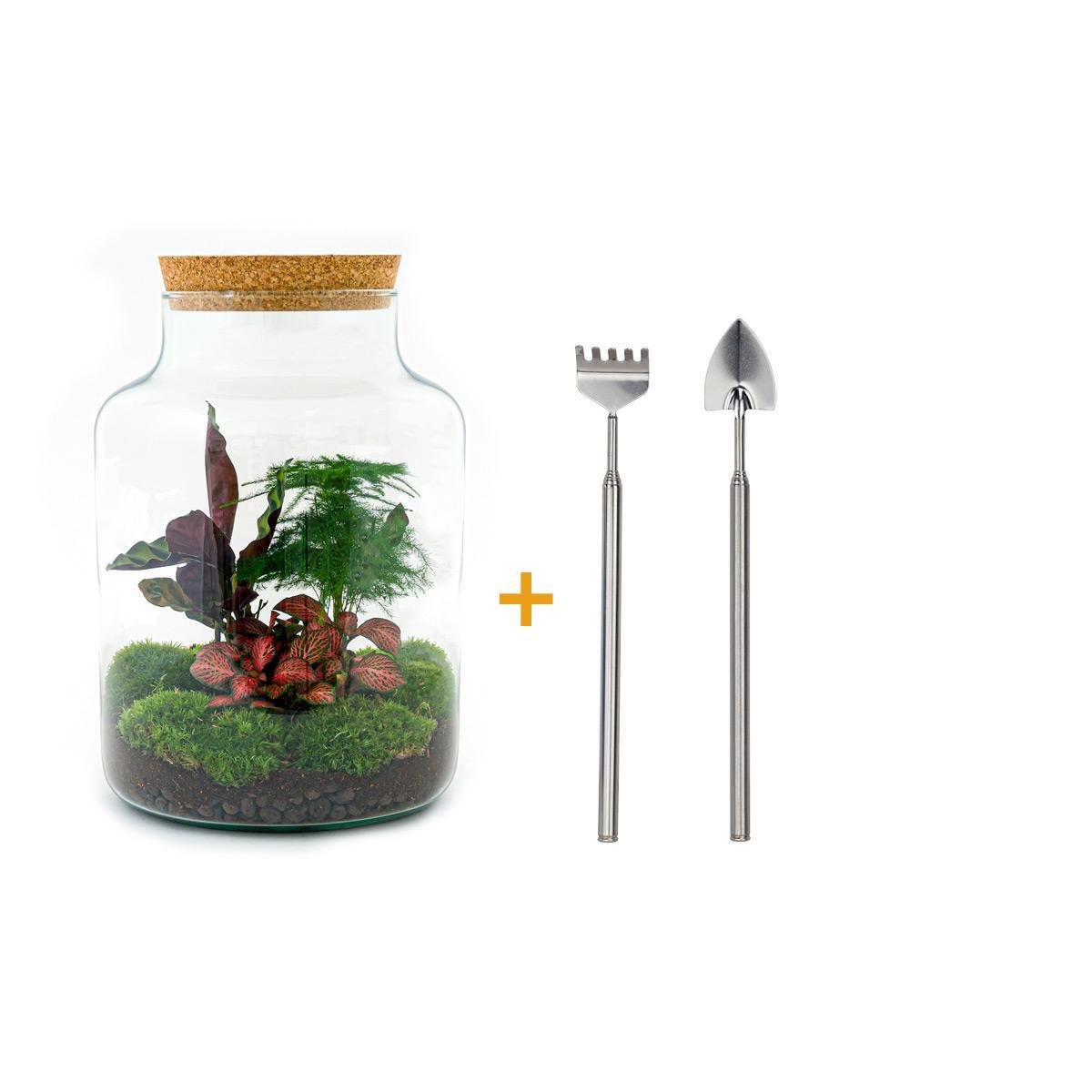 DIY terrarium - Milky - ↑ 30 cm