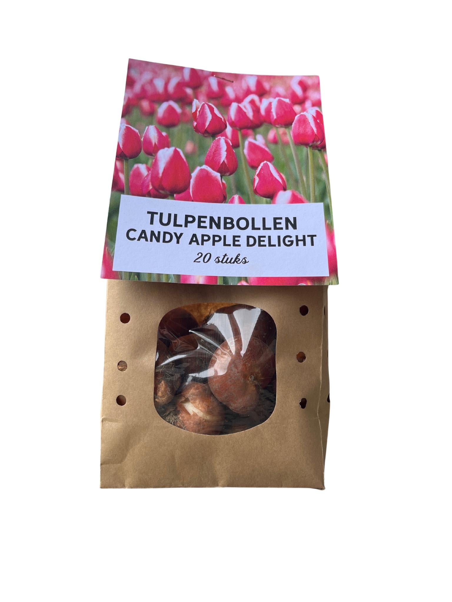 Tulpenbollen 20 stuks