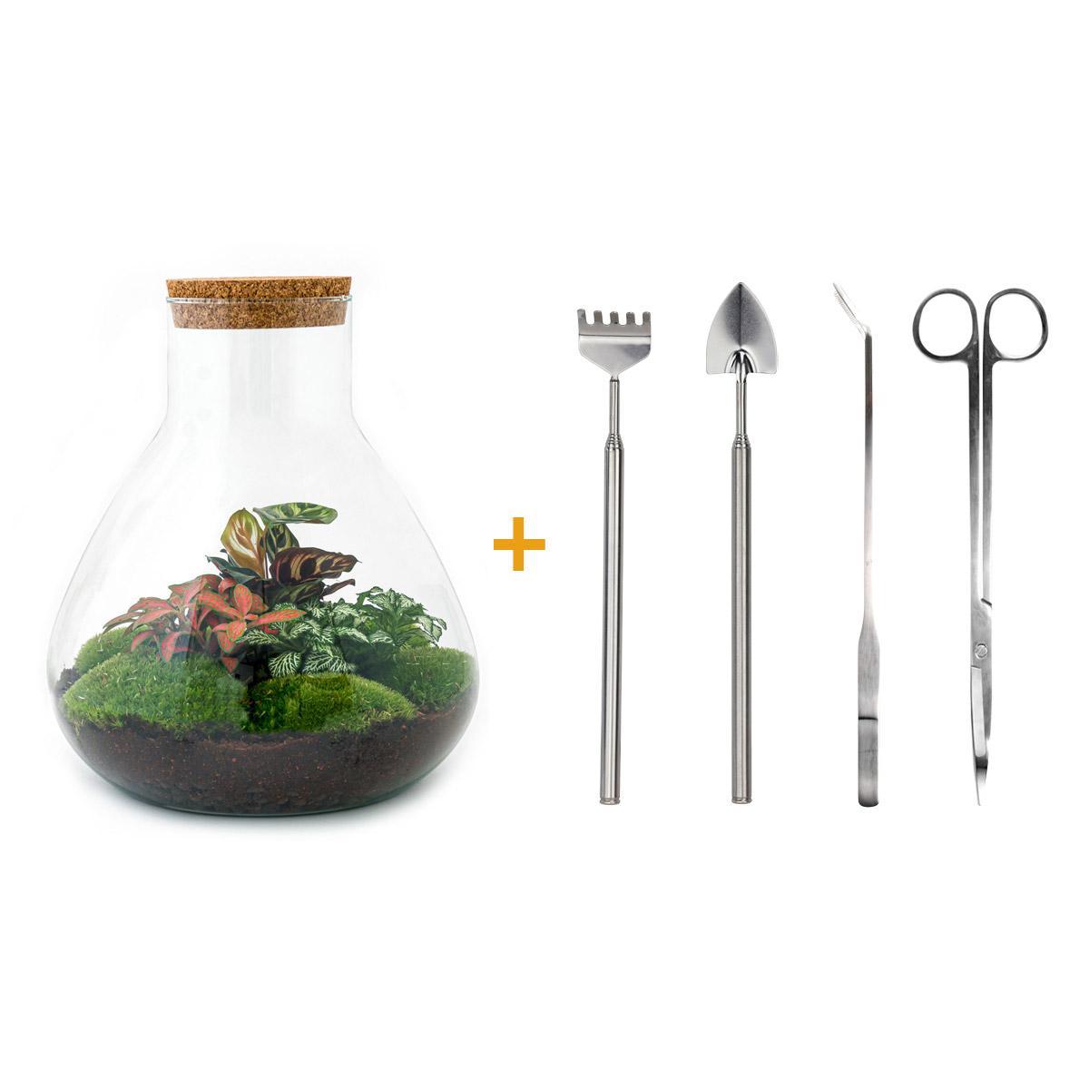 Variant interne naam DIY terrarium - Sam XL Red - ↑ 35 cm + Rake + Shovel + Tweezer + Scissors