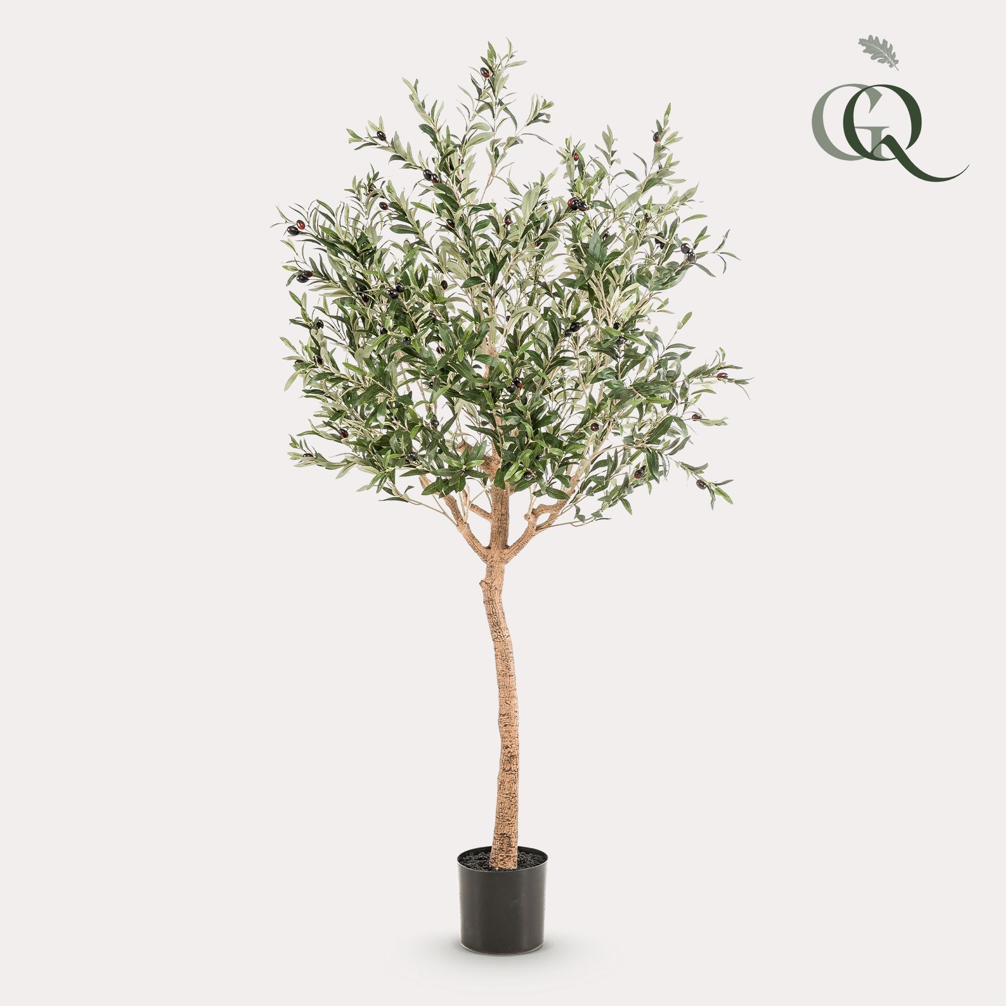 Kunst Olijfboom - Olea Europaea - Olijfboom - 180 cm